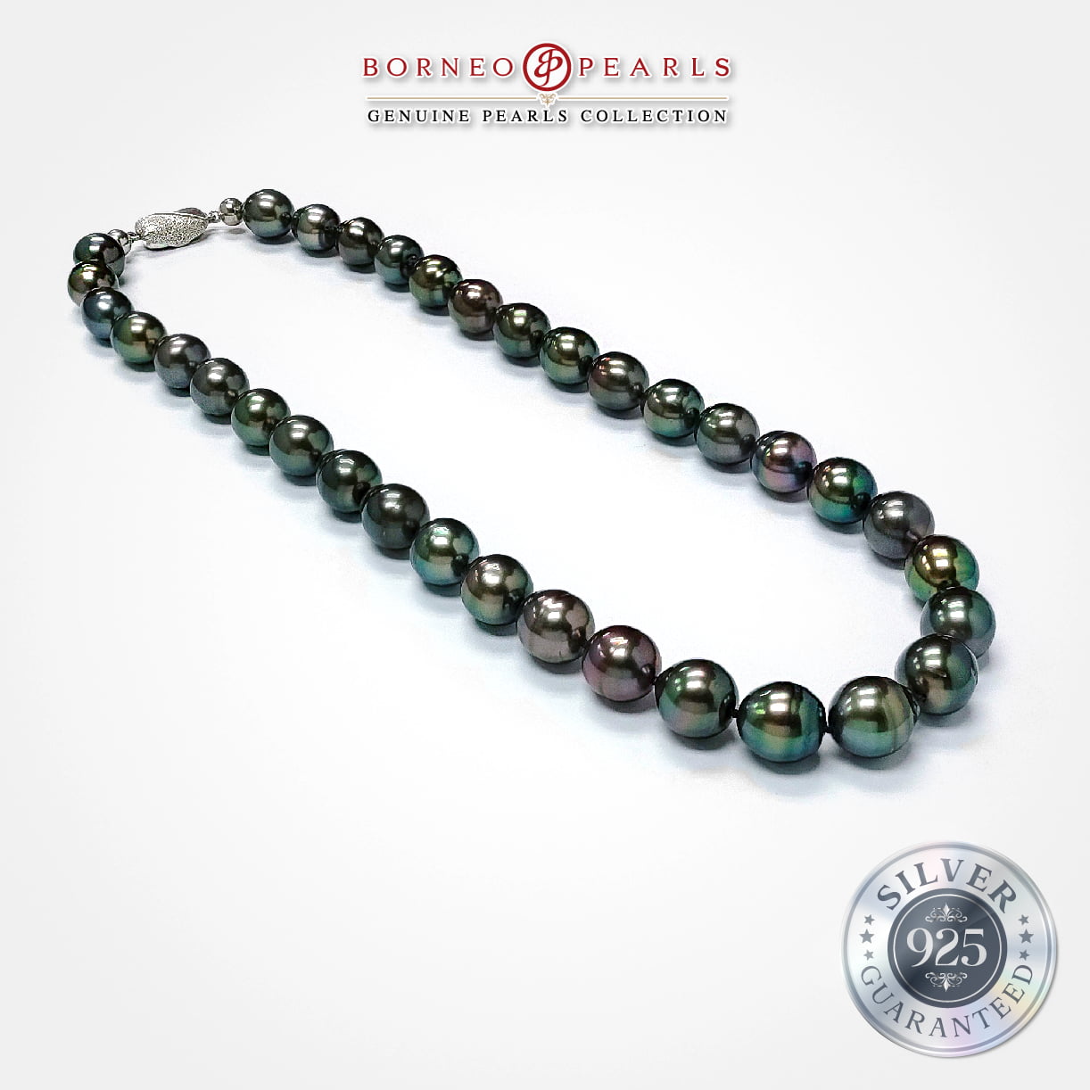 Tahitian Drop 10-12mm Black - Peacock Undertones Pearl Necklace in 925 Silver