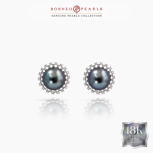 Tahitian Pearl Earrings (11mm, 18K White Gold)
