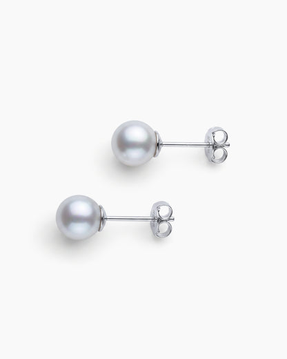 Classic Akoya Pearl Stud Earrings