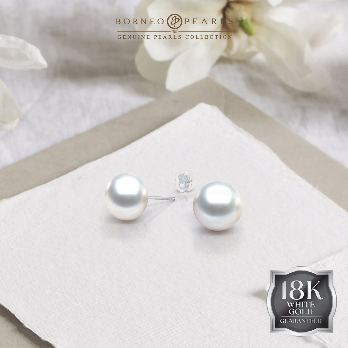 10.5-11mm South Sea White Studs in 18k White Gold