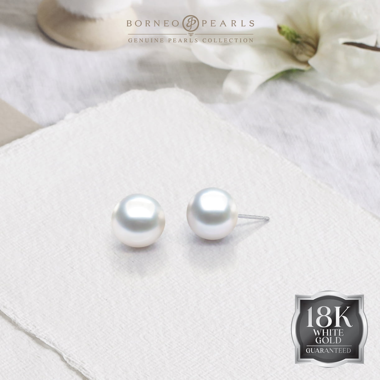 10.5-11mm South Sea White Studs in 18k White Gold