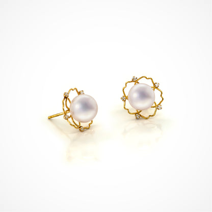 18K Gold Akoya Pearl Earrings
